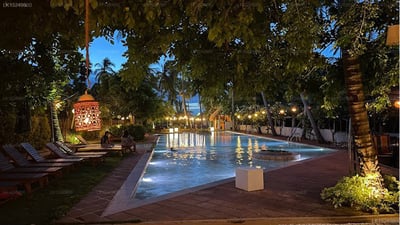 Blue Whale Resort