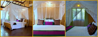 Purple Coot Ayurveda Retreat