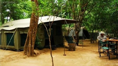 Kulu Safari - Wilpattu