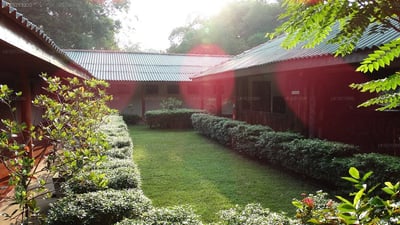 The Village