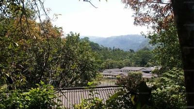 Kothmale Holiday Bungalow