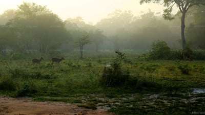 Governors River Lodge Wilpattu