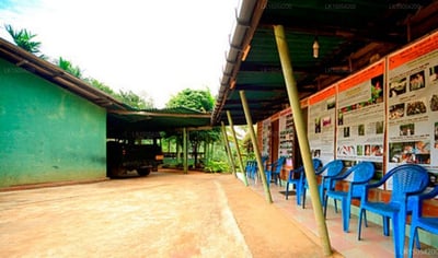 Martin's Lodge