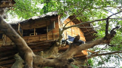 Villa Kumbuk Tree House