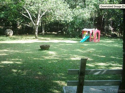 God Paradise Nature Resort