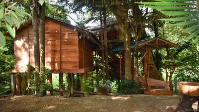 Villa Kumbuk Tree House