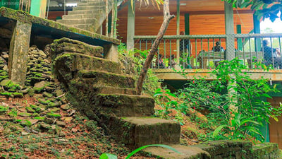 Martin's Lodge