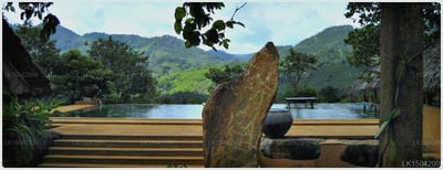Rainforest Edge