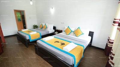 Hotel Elephant Bay