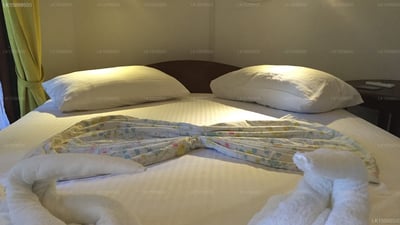 Black Beauty Guesthouse