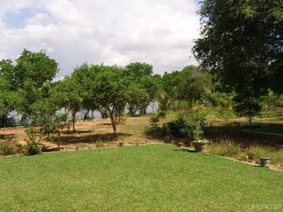 Lake View Bungalow Yala