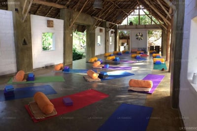 Back of beyond - Wellness Retreat