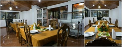 Camellia Lake Resort