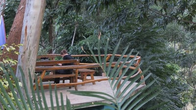 Waterfalls Homestay Guesthouse