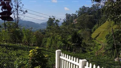 Bandarawela Holiday Bungalow