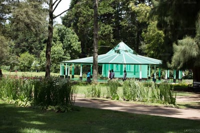 Camellia Lake Resort