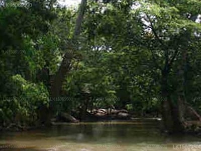 Kumbuk River