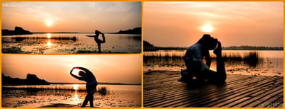 Purple Coot Ayurveda Retreat