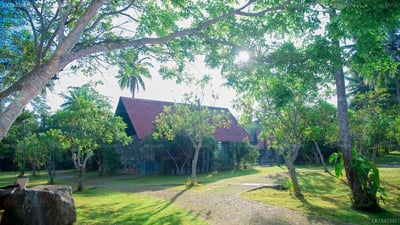 Celestia Ayurveda Resort