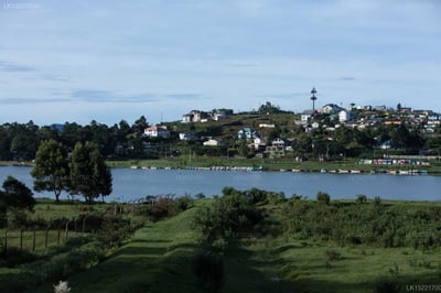 Camellia Lake Resort