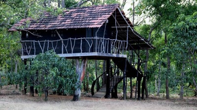 Eagle's Wings Guest House
