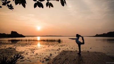 Purple Coot Ayurveda Retreat