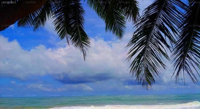 Ocean of Life Ayurvedic Resort