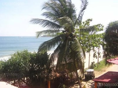 Blue Horizon Beach Hotel