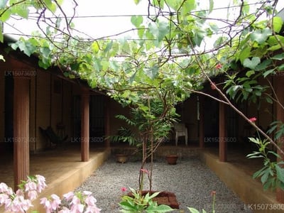 Governors River Lodge Wilpattu