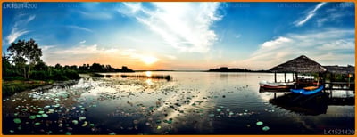 Purple Coot Ayurveda Retreat