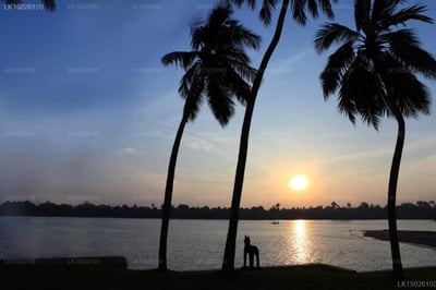 Avani Kalutara Resort