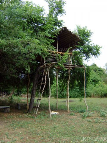 Sigiriya View Resort