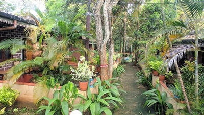 Udawalawe Safari Vallage Hotel