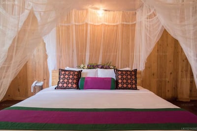 Purple Coot Ayurveda Retreat