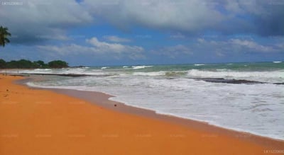 Ocean of Life Ayurvedic Resort