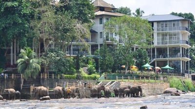 Hotel Elephant Bay