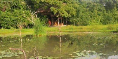 Back of Beyond - Dehigaha Ela