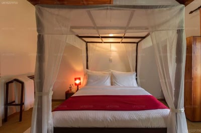 Camellia Lake Resort