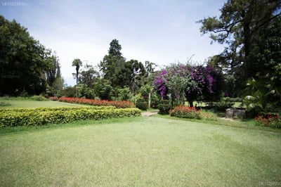 Camellia Lake Resort