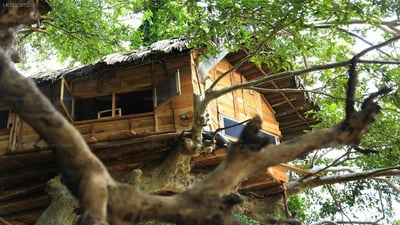 Villa Kumbuk Tree House
