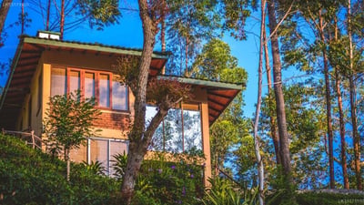 The Tea Cottage Resort