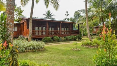 Purple Coot Ayurveda Retreat