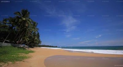 Ocean of Life Ayurvedic Resort