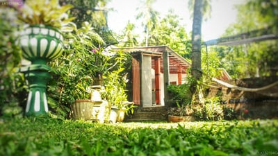 Cormorant Lake Resort