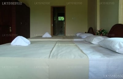 Hotel Elephant Bay