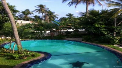 French Residence Guest House