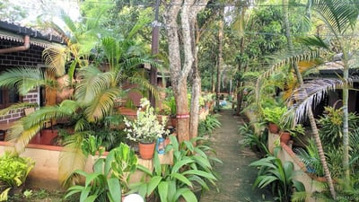 Udawalawe Safari Vallage Hotel