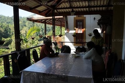 Kothmale Holiday Bungalow