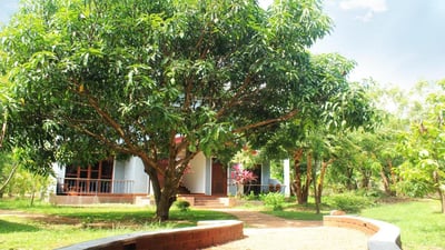 Green Hut Hotel And Restaurant