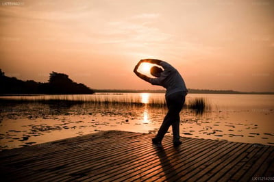 Purple Coot Ayurveda Retreat